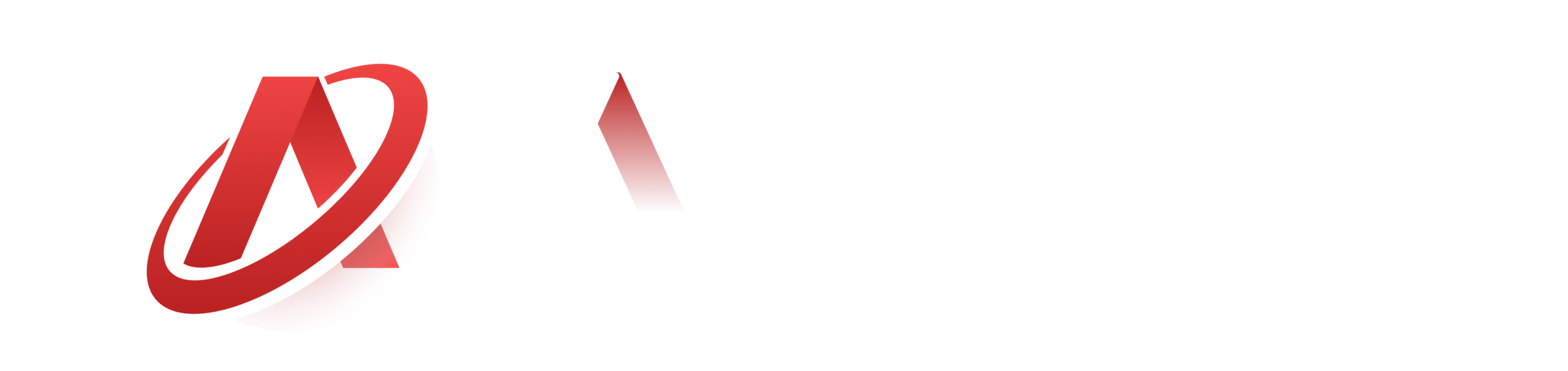 Logo AnetCHECK footer